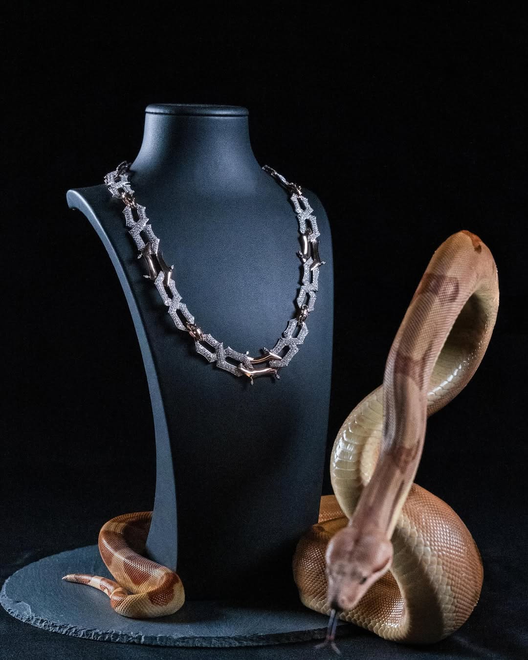 Finesse chain