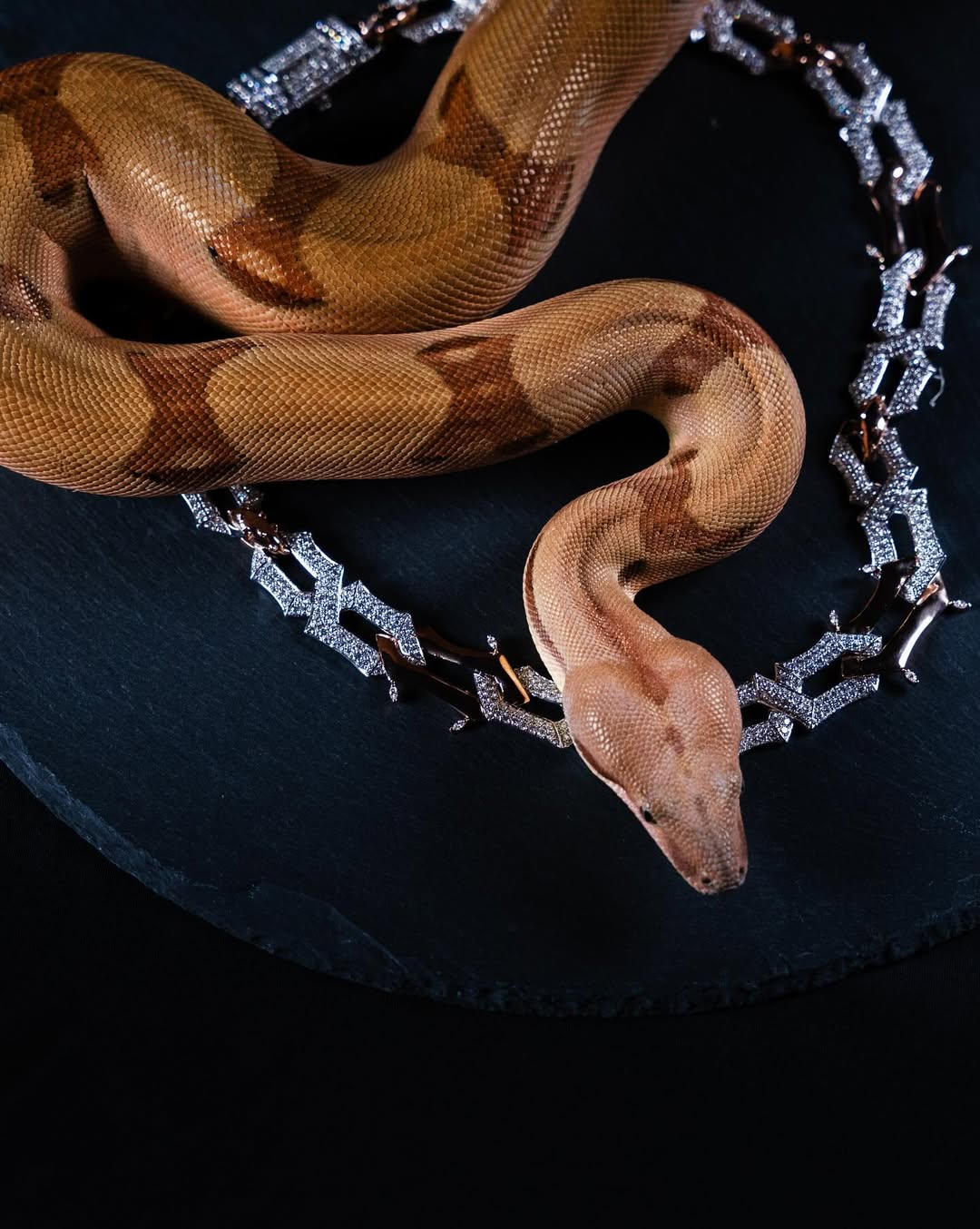 Finesse chain
