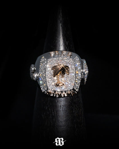 Customisable Championship Ring